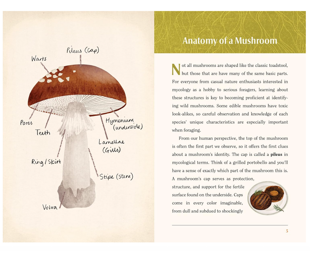This is a Book For People Who Love Mushrooms
