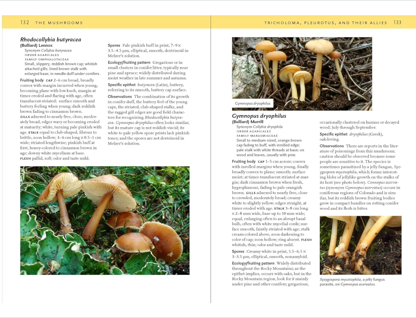 Mushrooms of the Rocky Mountain Region Field Guide