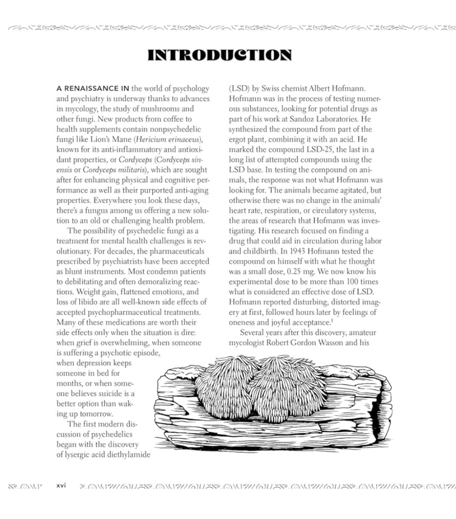 Mushroom Pharmacy: A Practical Guide to Psychedelic Mushrooms