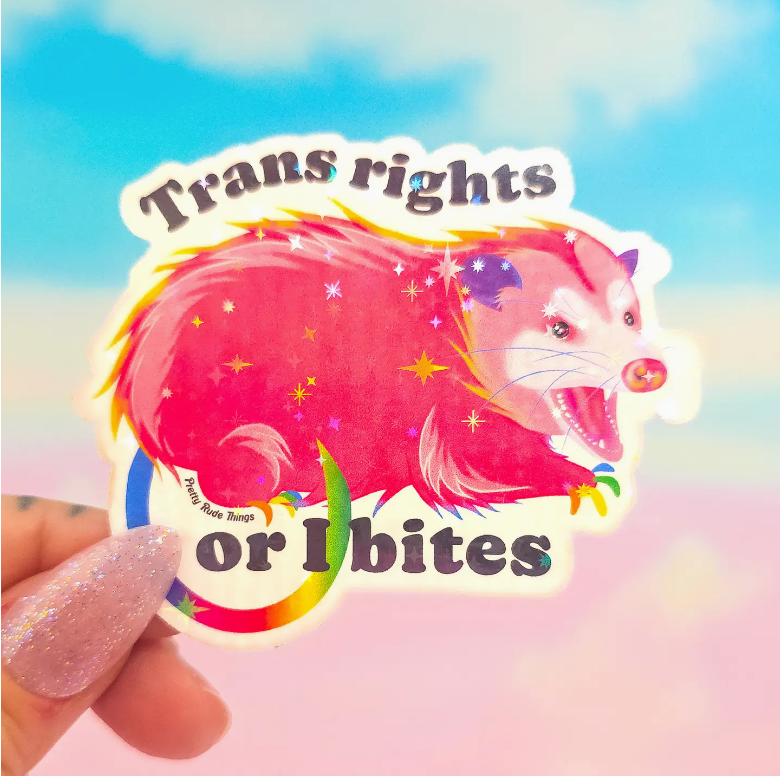 Trans Rights Sticker