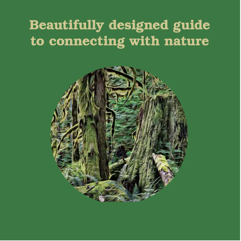 Forest School For Grown Ups