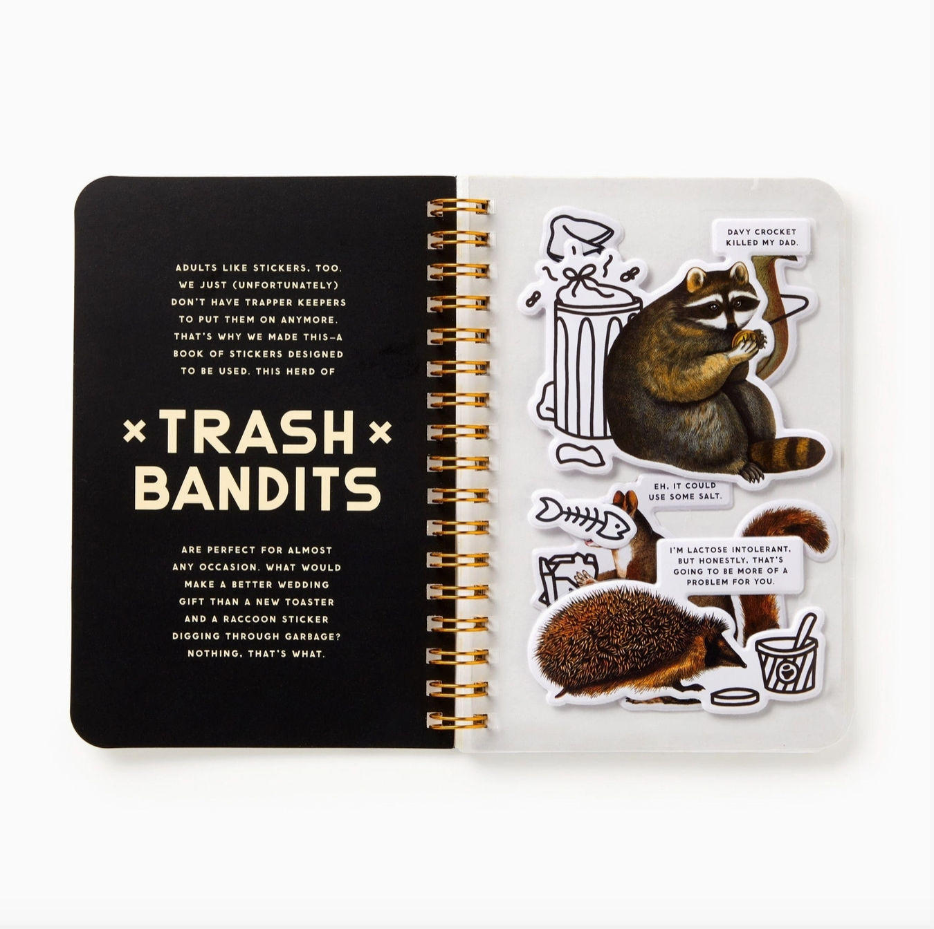 Trash Bandits Sticker Book