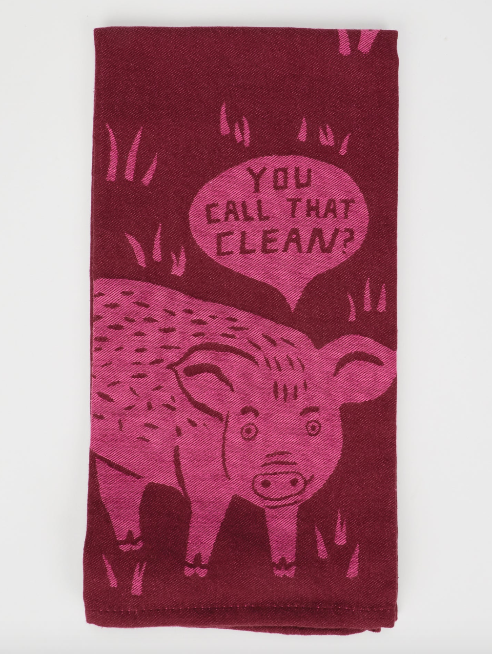 You Call That Clean? Dish Towel