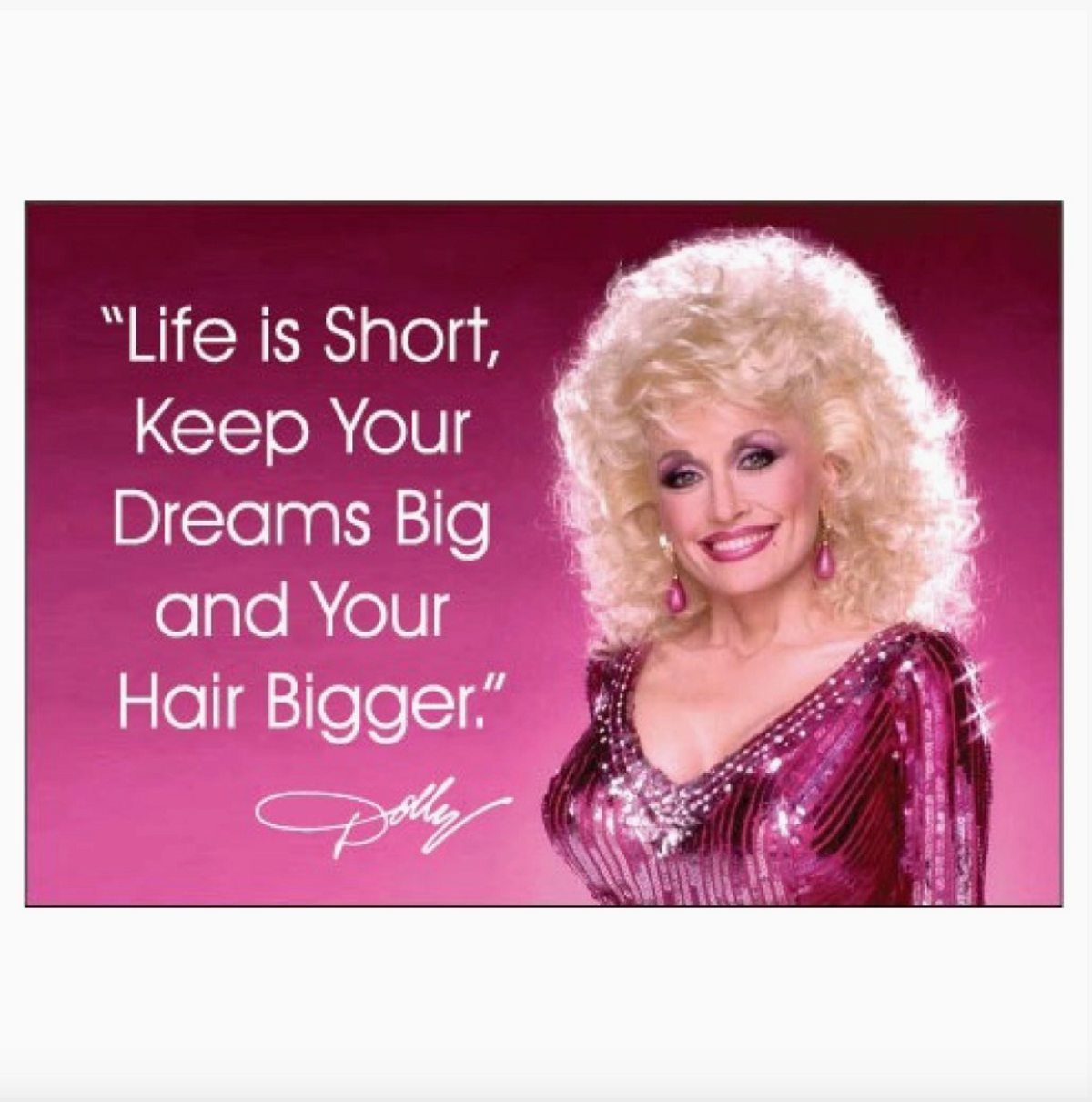 Dolly Magnet