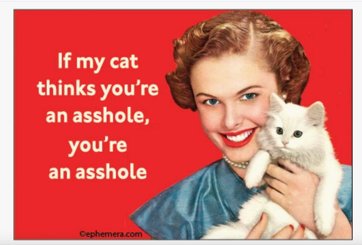 If My Cat Thinks You’re An Asshole Magnet