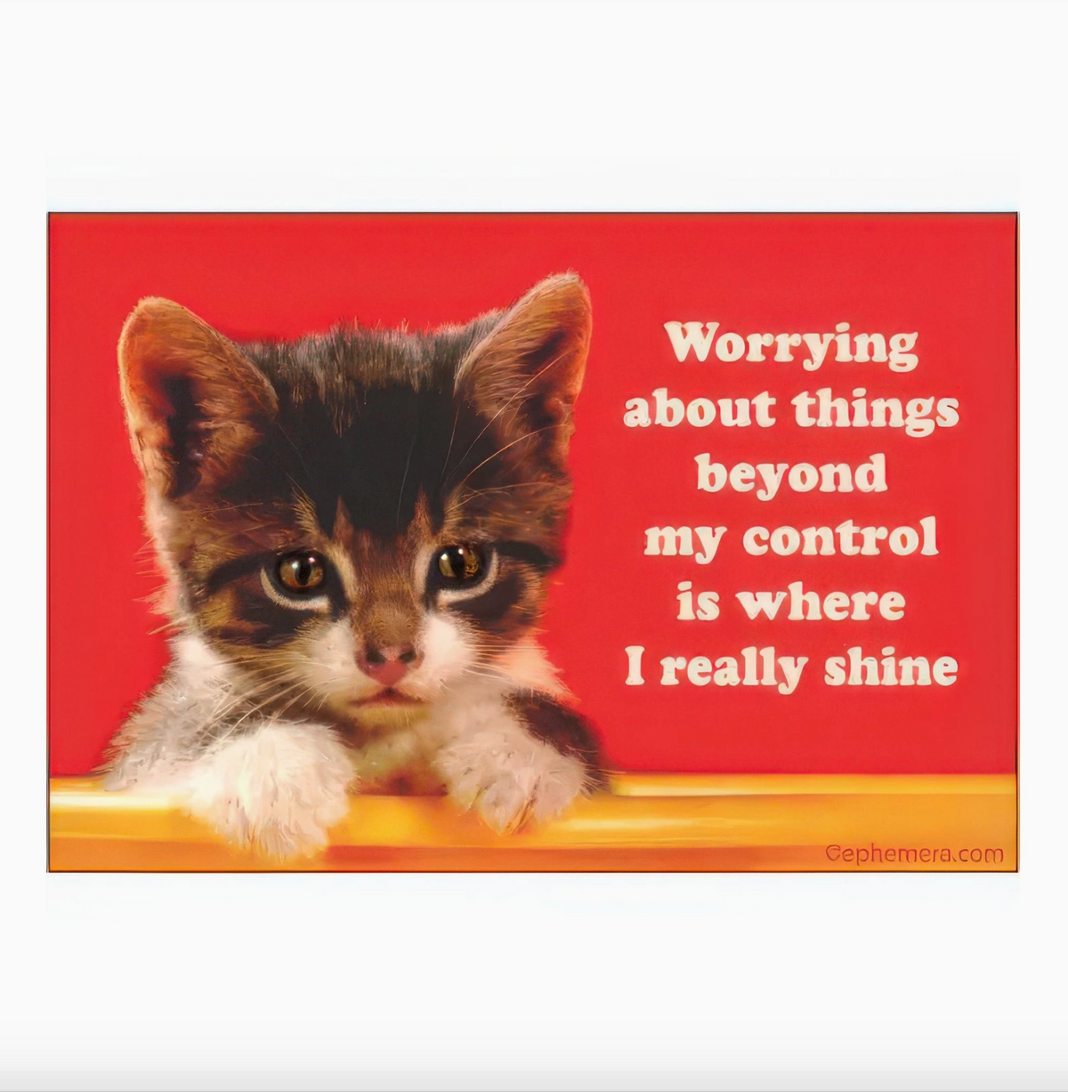 Worrying About Things Magnet
