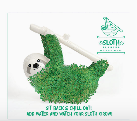 Sloth Chia Planter