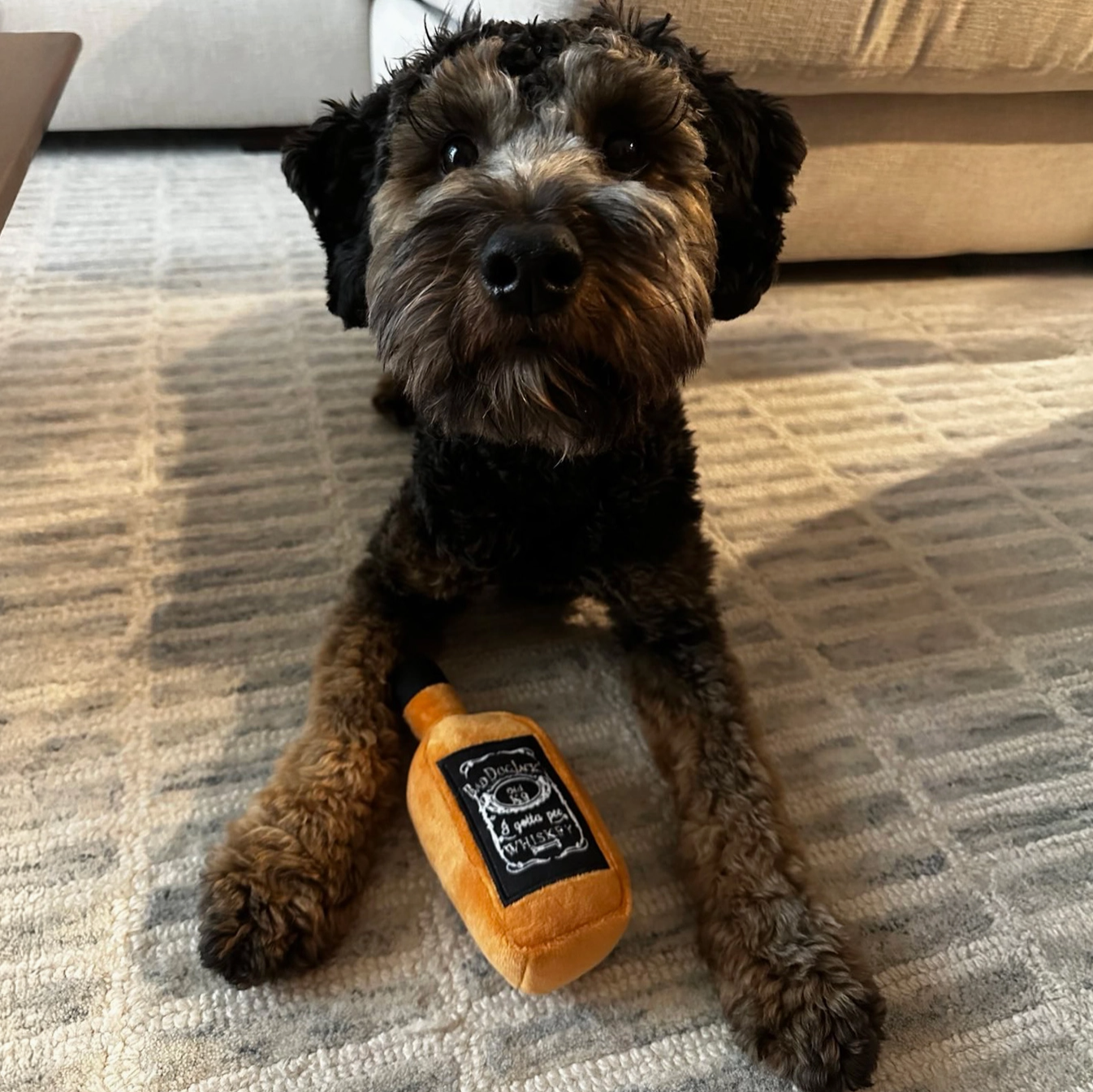Bad Dog Jacks Whiskey Small Dog Toy